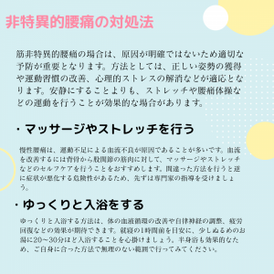腰痛の主な原因 (9)