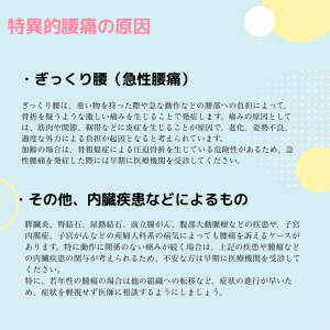 腰痛の主な原因 (3)