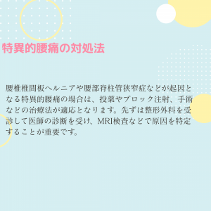 腰痛の主な原因 (8)