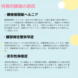 腰痛の主な原因 (2)