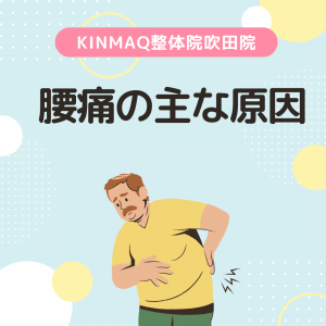腰痛の主な原因
