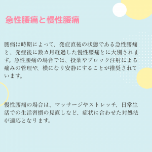 腰痛の主な原因 (7)