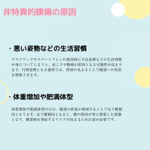 腰痛の主な原因 (5)