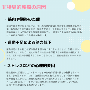 腰痛の主な原因 (4)