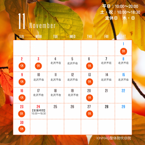 11月営業日カレンダー (1)