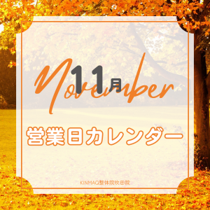 11月営業日カレンダー (2)